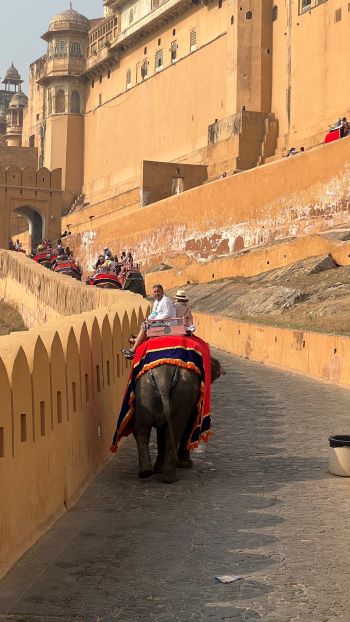 Amber fort - india