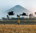 ИНДОНЕЗИЯ  - Архипелагът на съкровищата островите Суматра, Ява, Комодо и Бали