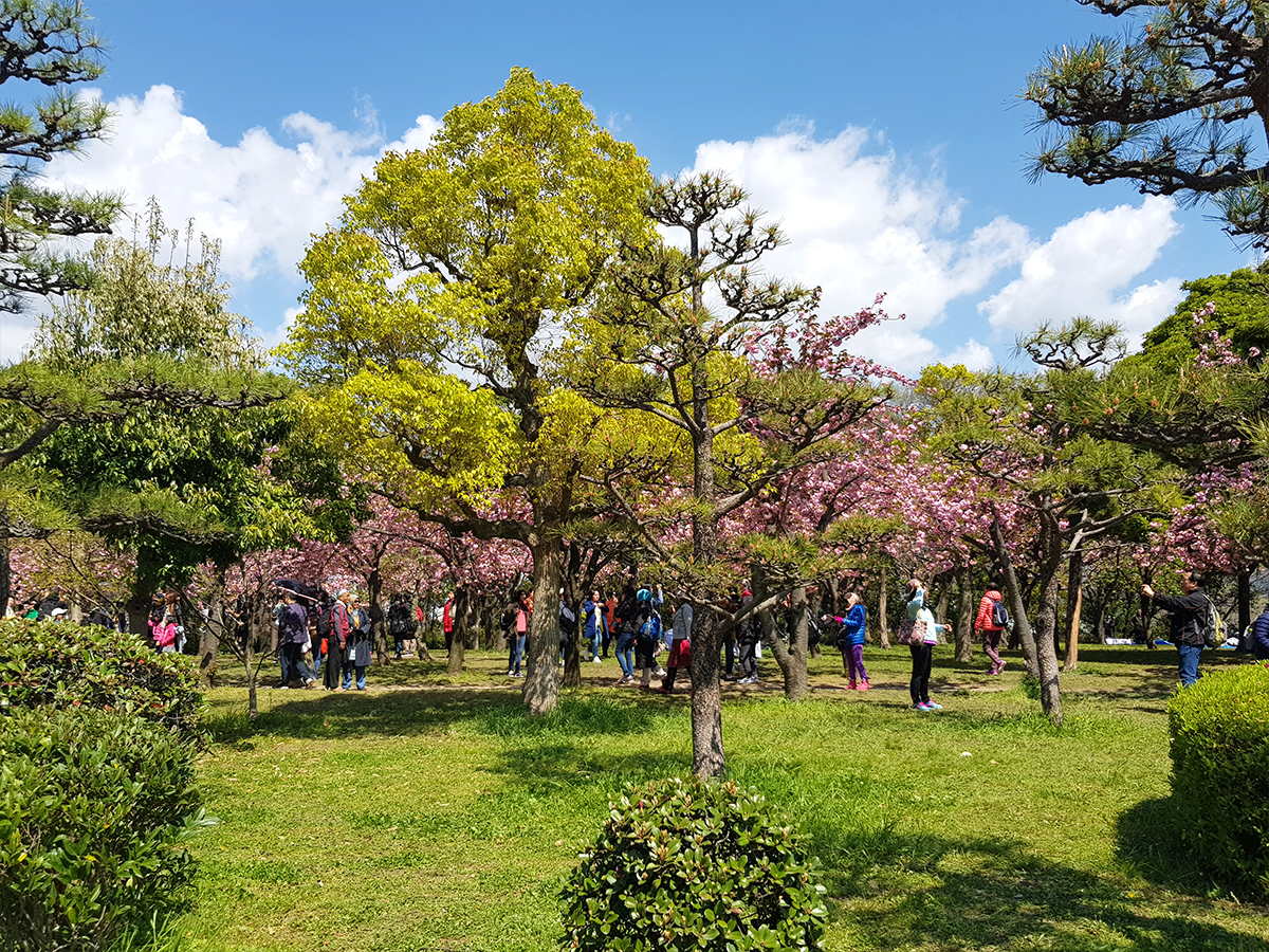 Японска градина която посещаваме по време на екскурзията до Япония