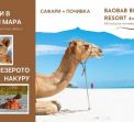 Дивата Кения - сафари и почивка